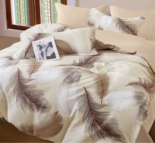 Collection World Pościel bawełniana pióra beżowa elegancka lekka 160x200 cm komplet pościeli 3-częściowy M2062