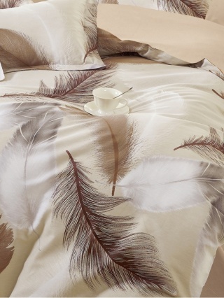 Collection World Pościel bawełniana pióra beżowa elegancka lekka 160x200 cm komplet pościeli 3-częściowy M2062